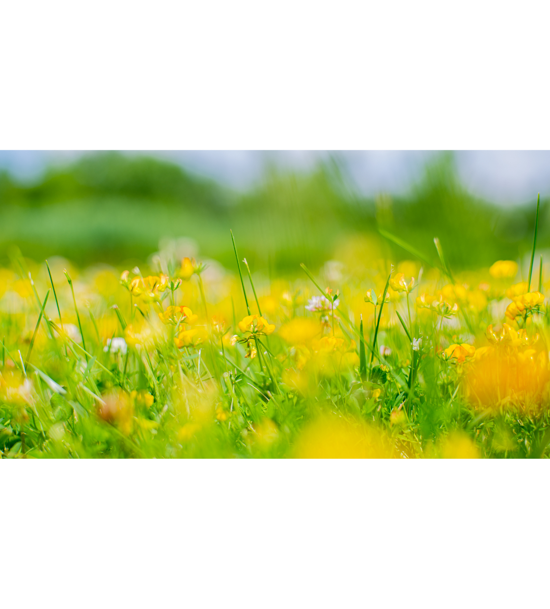 名称未設定のデザイン (1).png