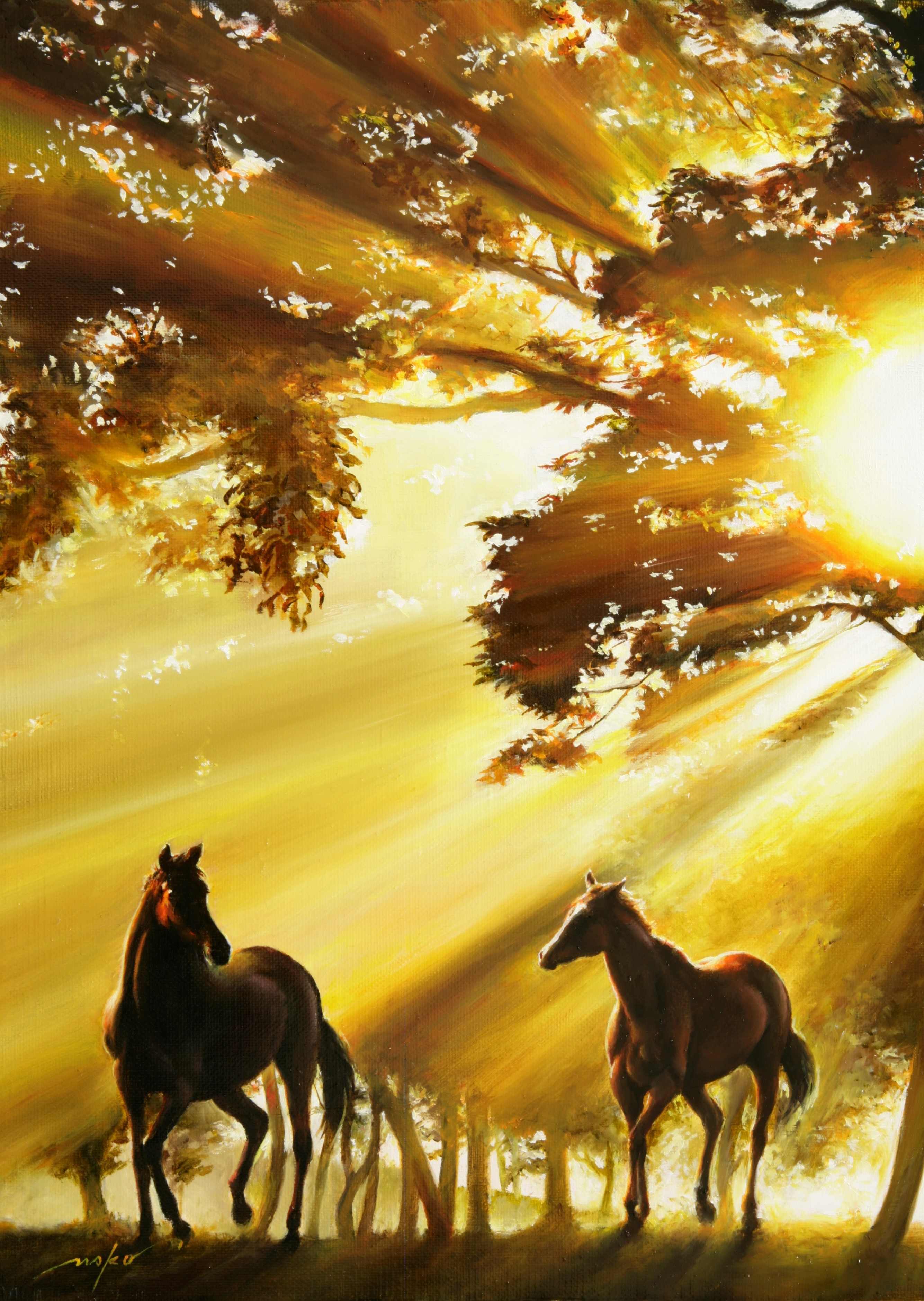 37 琥珀色の朝.JPG