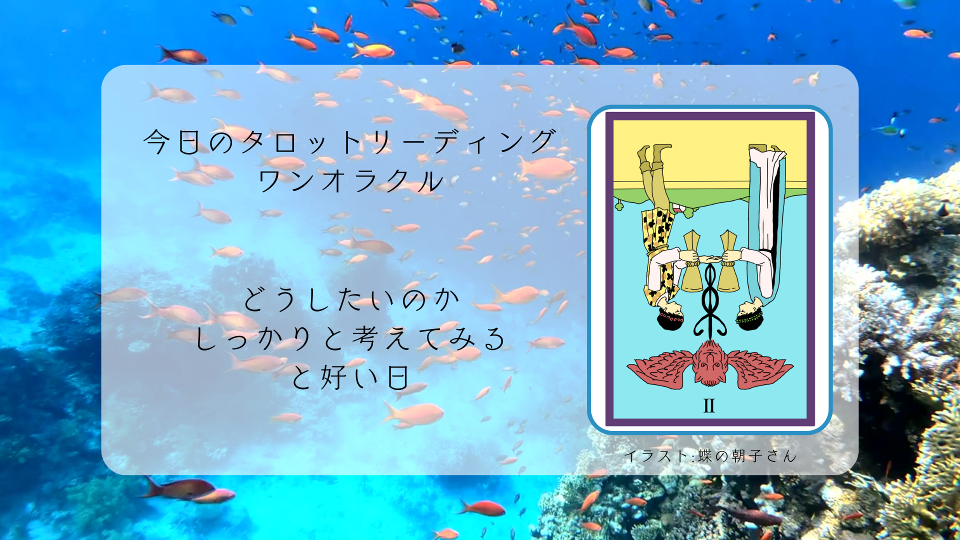 2025.2.6 カップの２逆.png