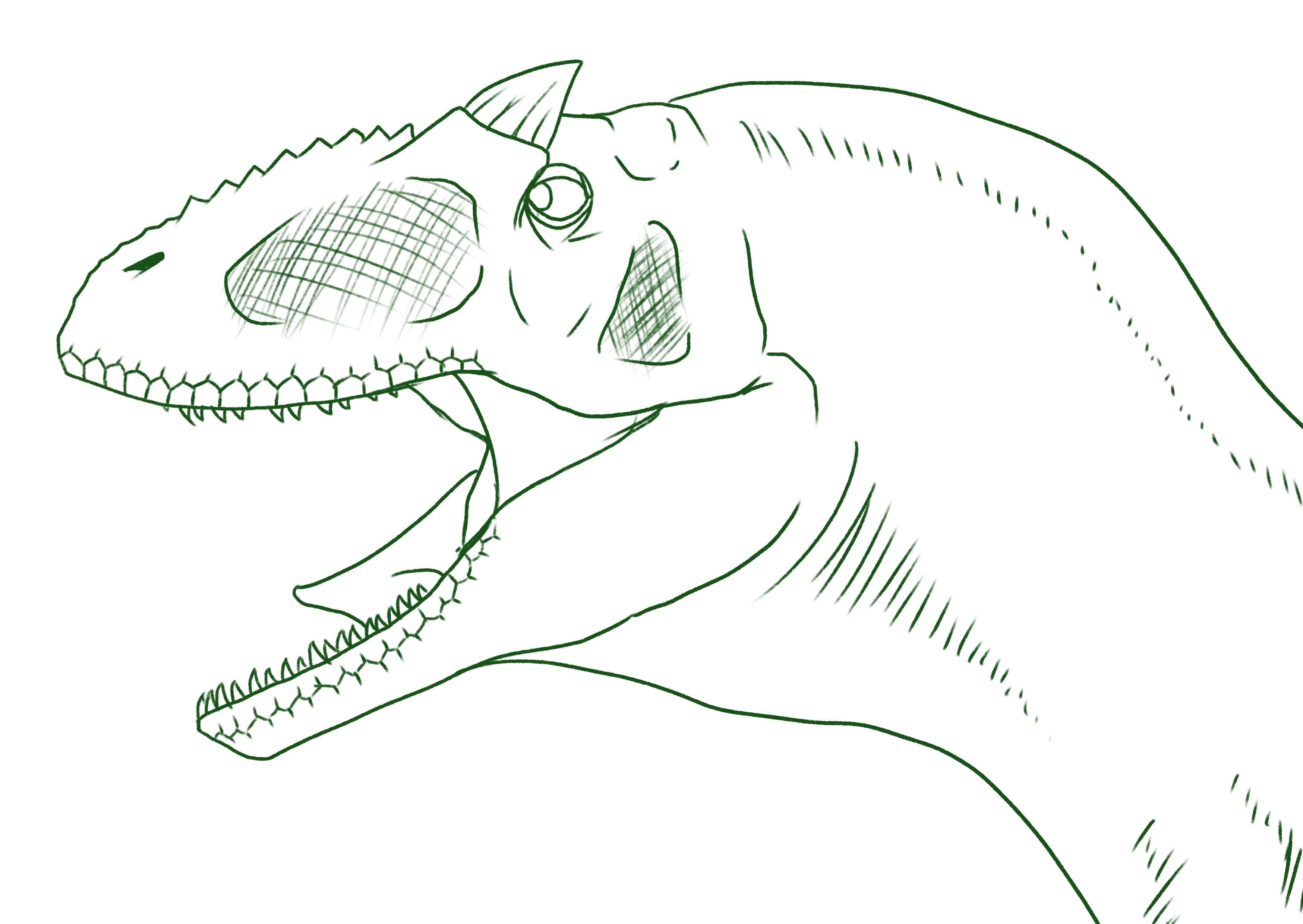 all_head.jpg