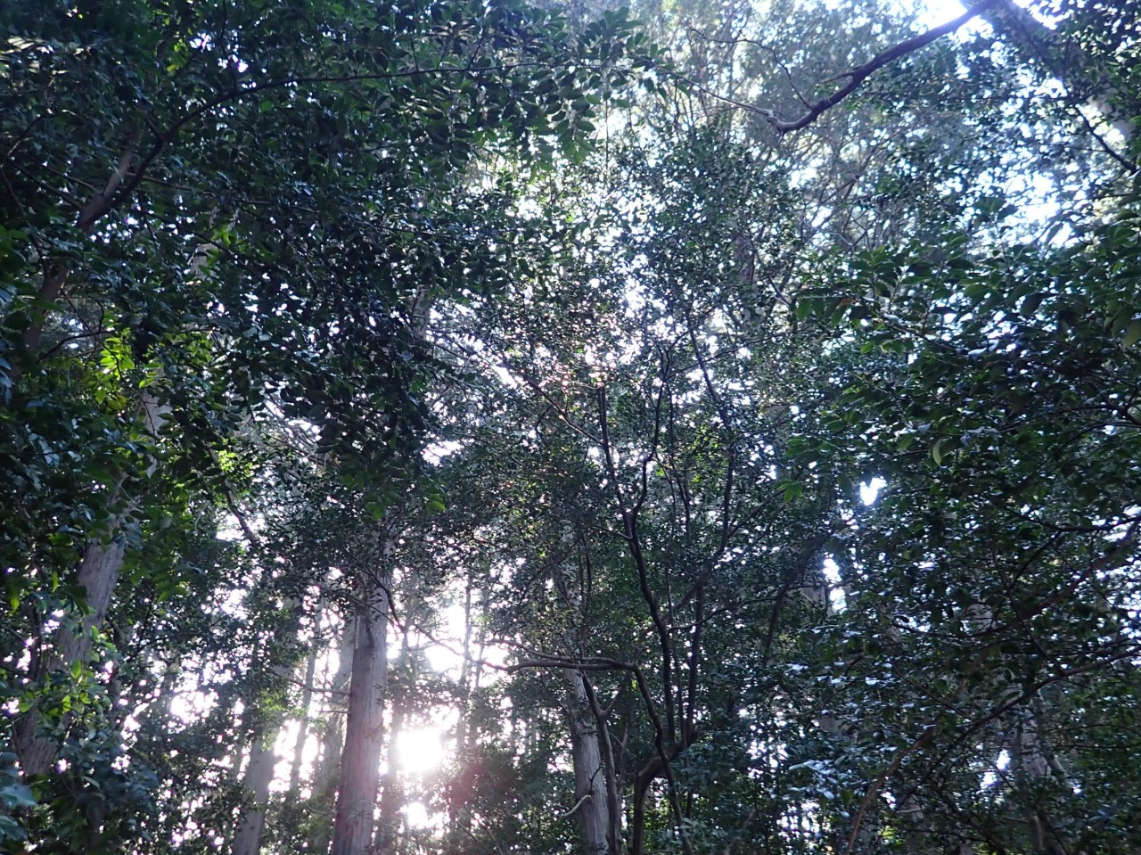 PC310038.JPG