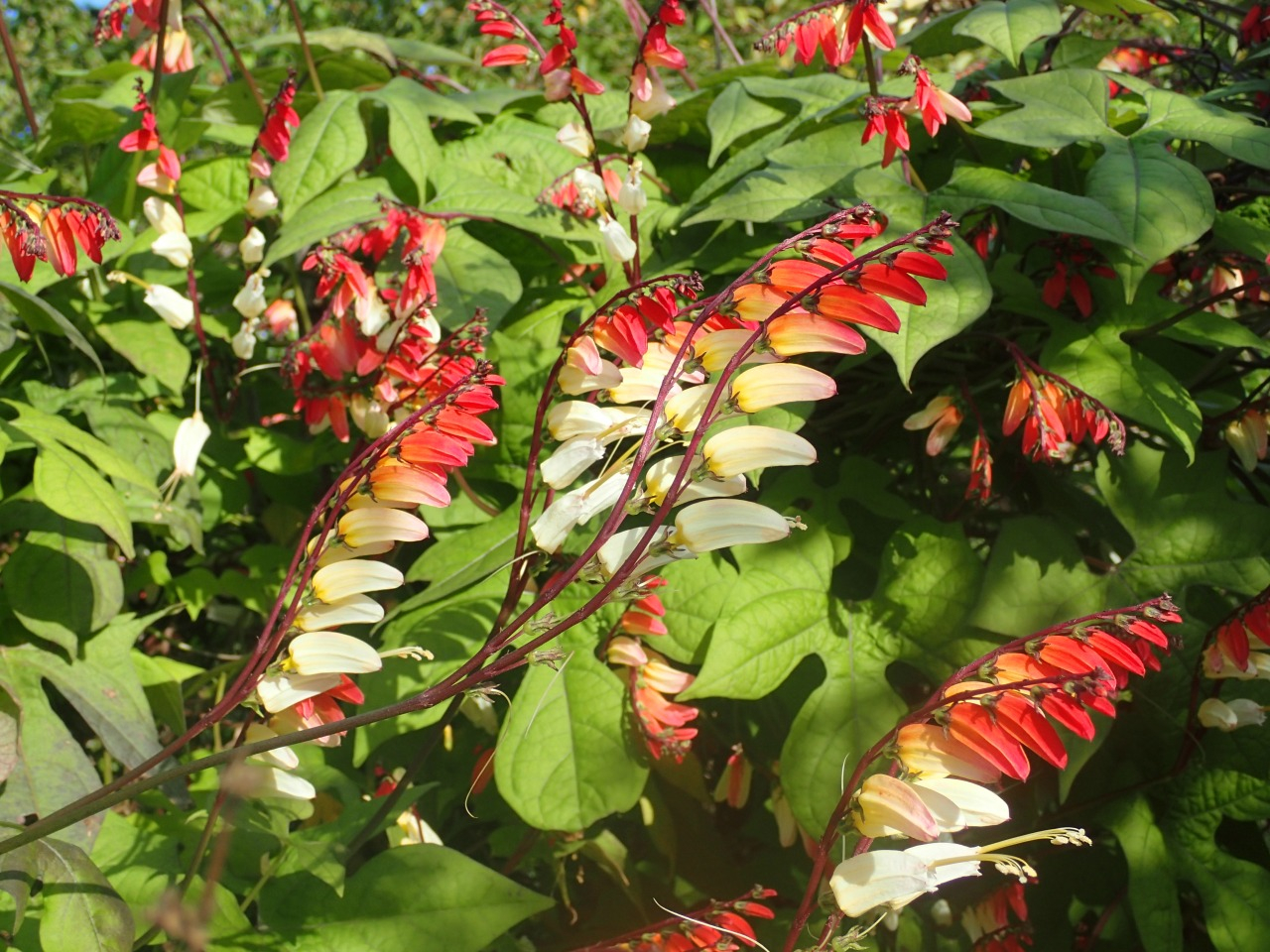 PB170619.JPG