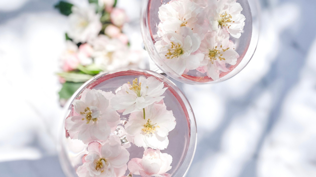 旅するプログラマー (3).png