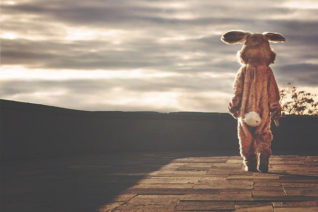 rabbit-542554_640.jpg