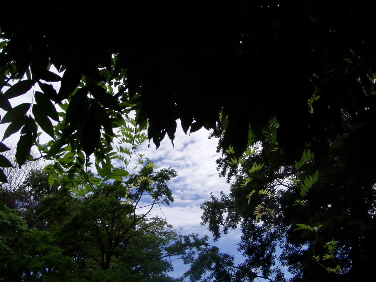 P1010102.JPG