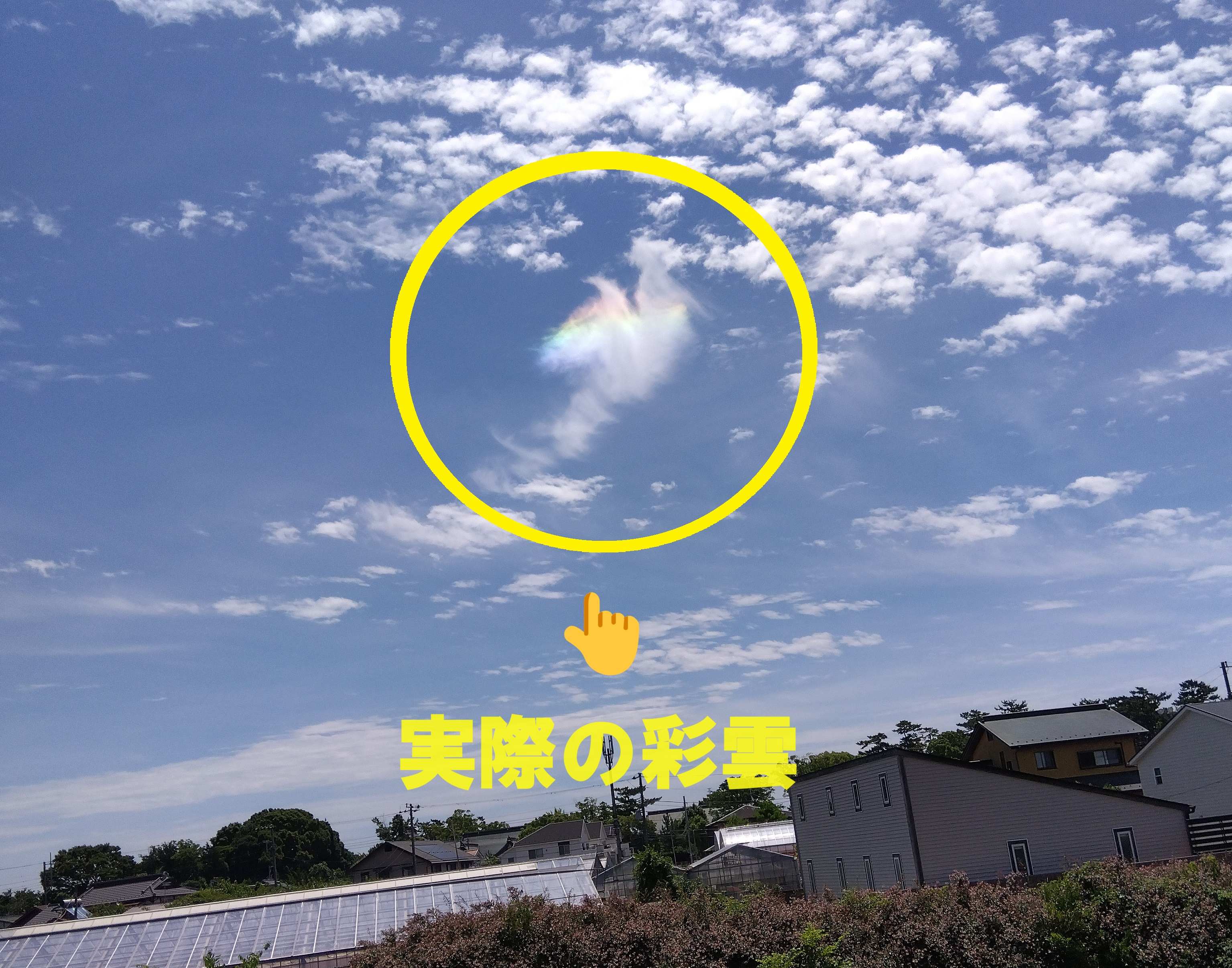 彩雲全体.jpg