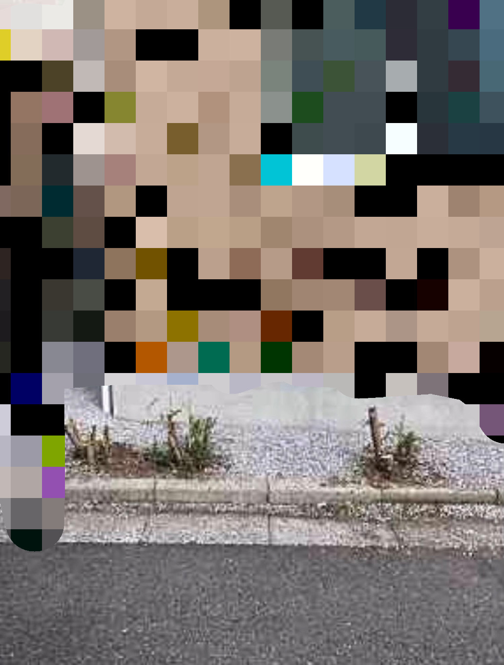 IMG-8464.JPG