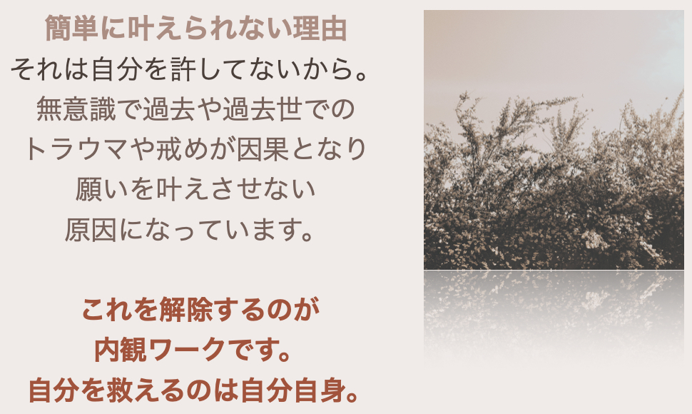 スクリーンショット 2024-08-19 17.22.53.png