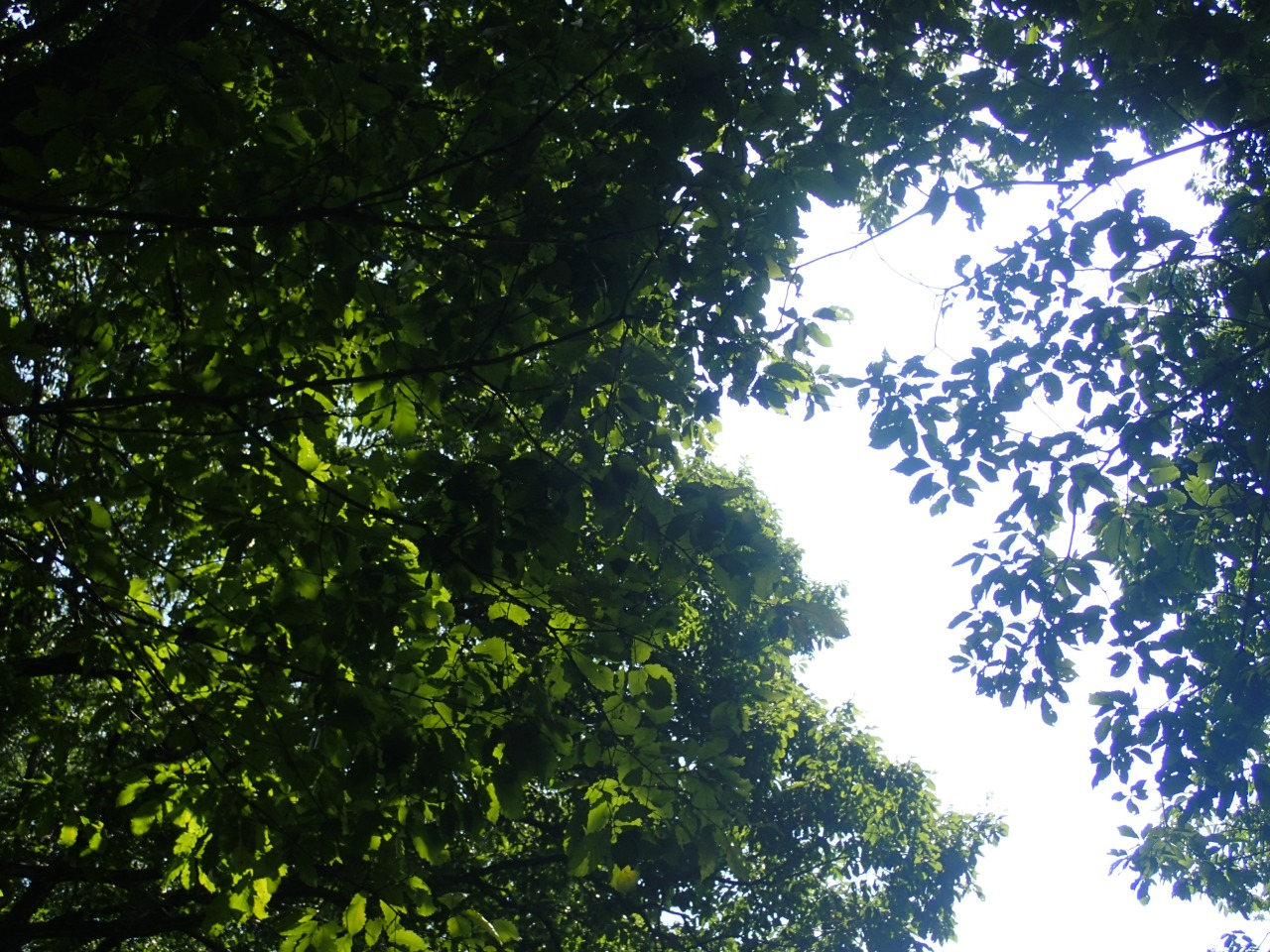P8050701.JPG