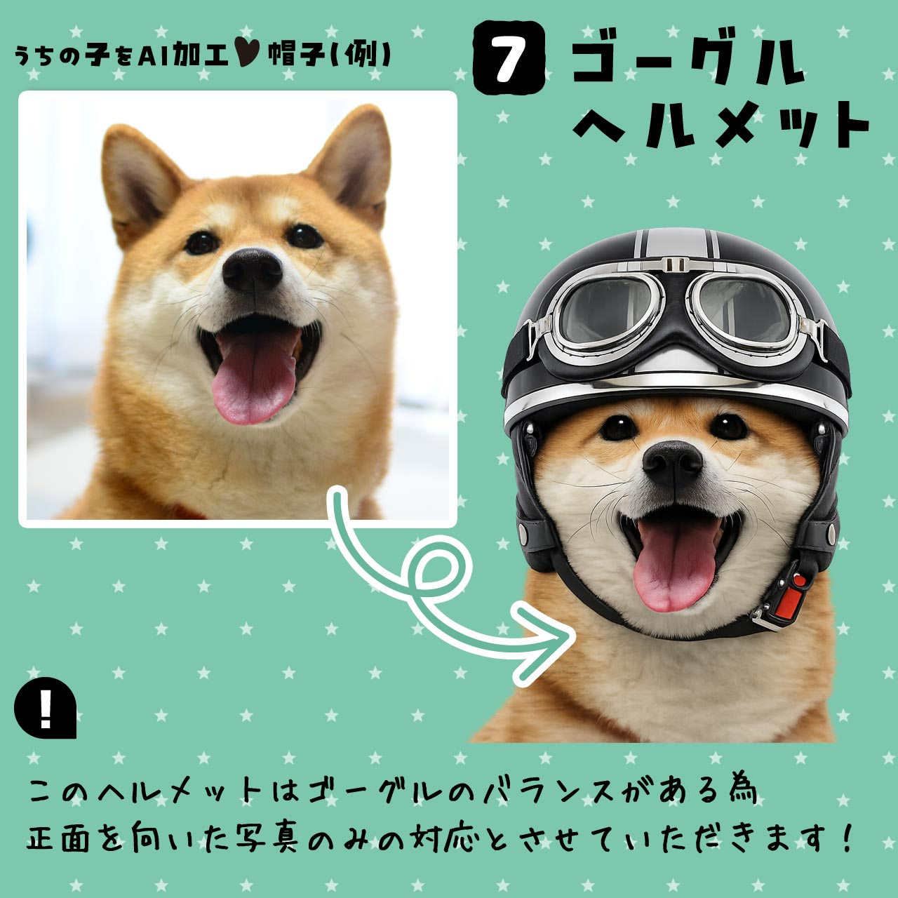 AI_A7goggles1.jpg