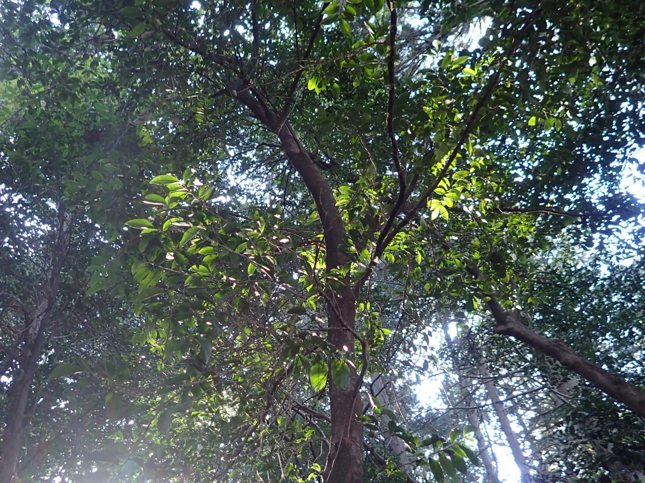 PC310034.JPG