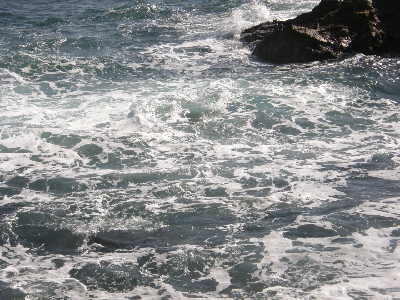 P4150261.JPG