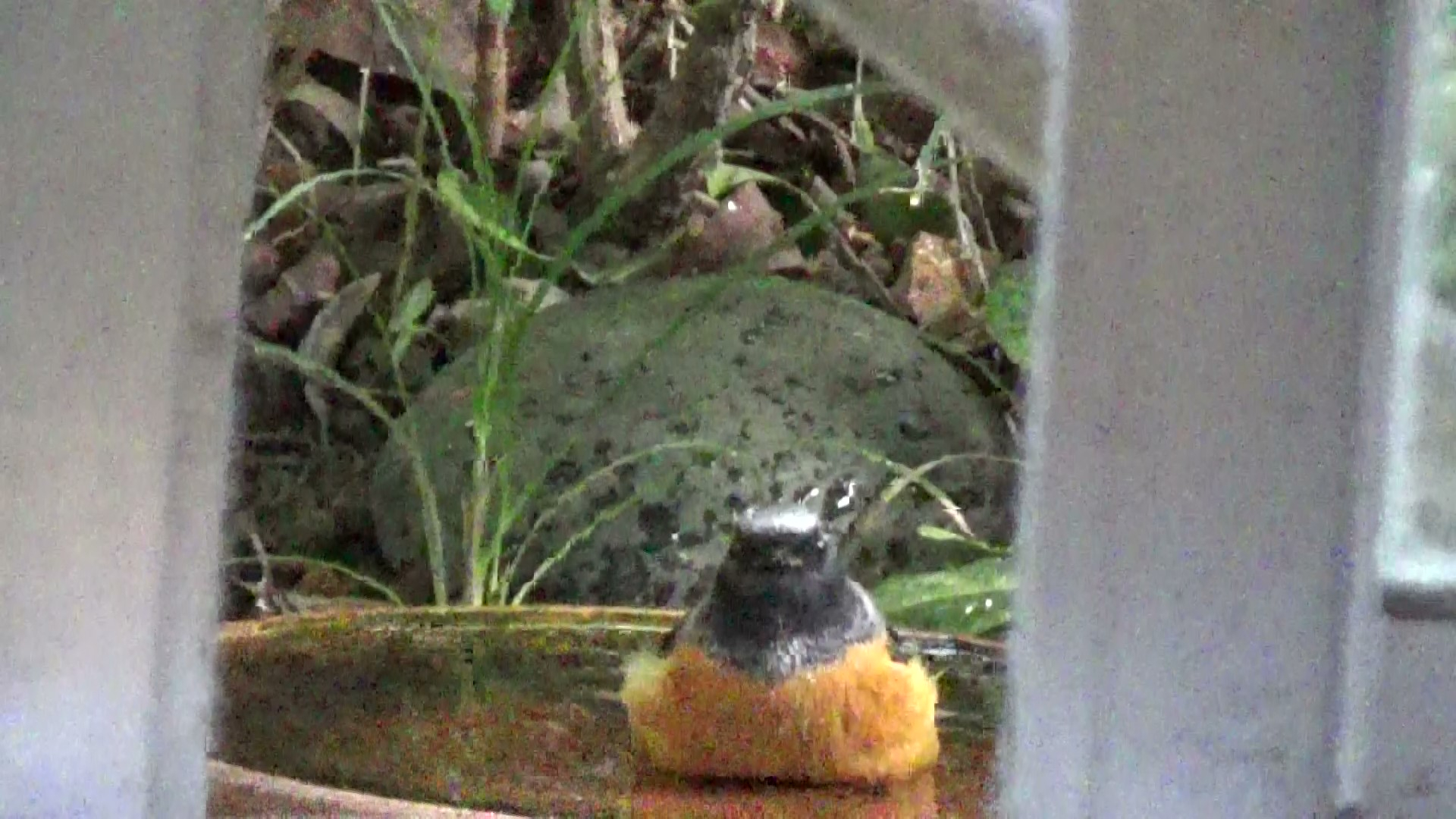 20231031083019 - frame at 0m17s.jpg