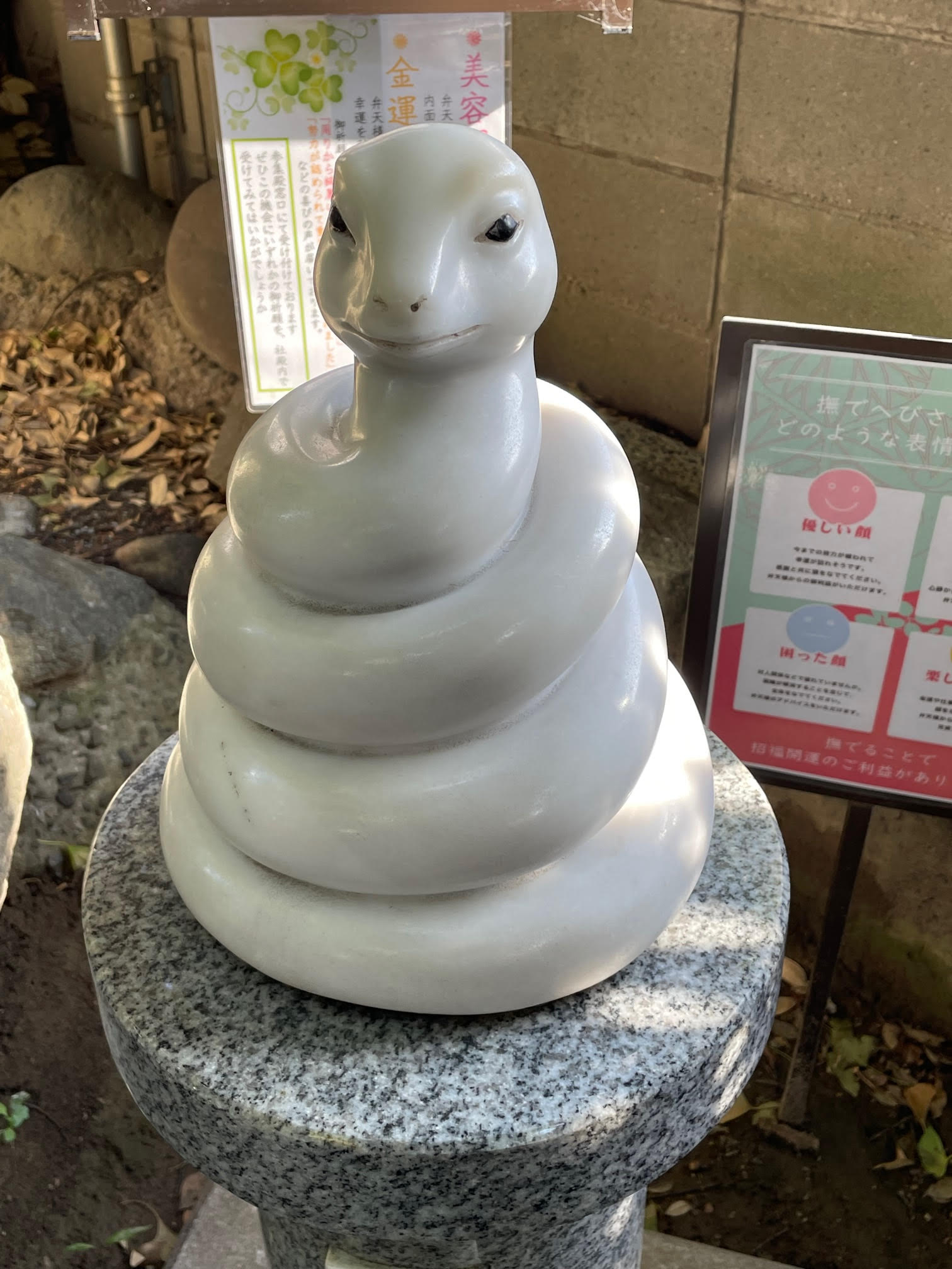 撫で蛇.jpg