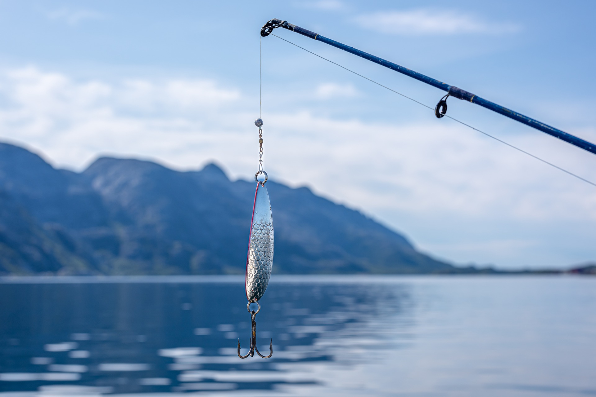 fish-gd19c007a7_1920.jpg