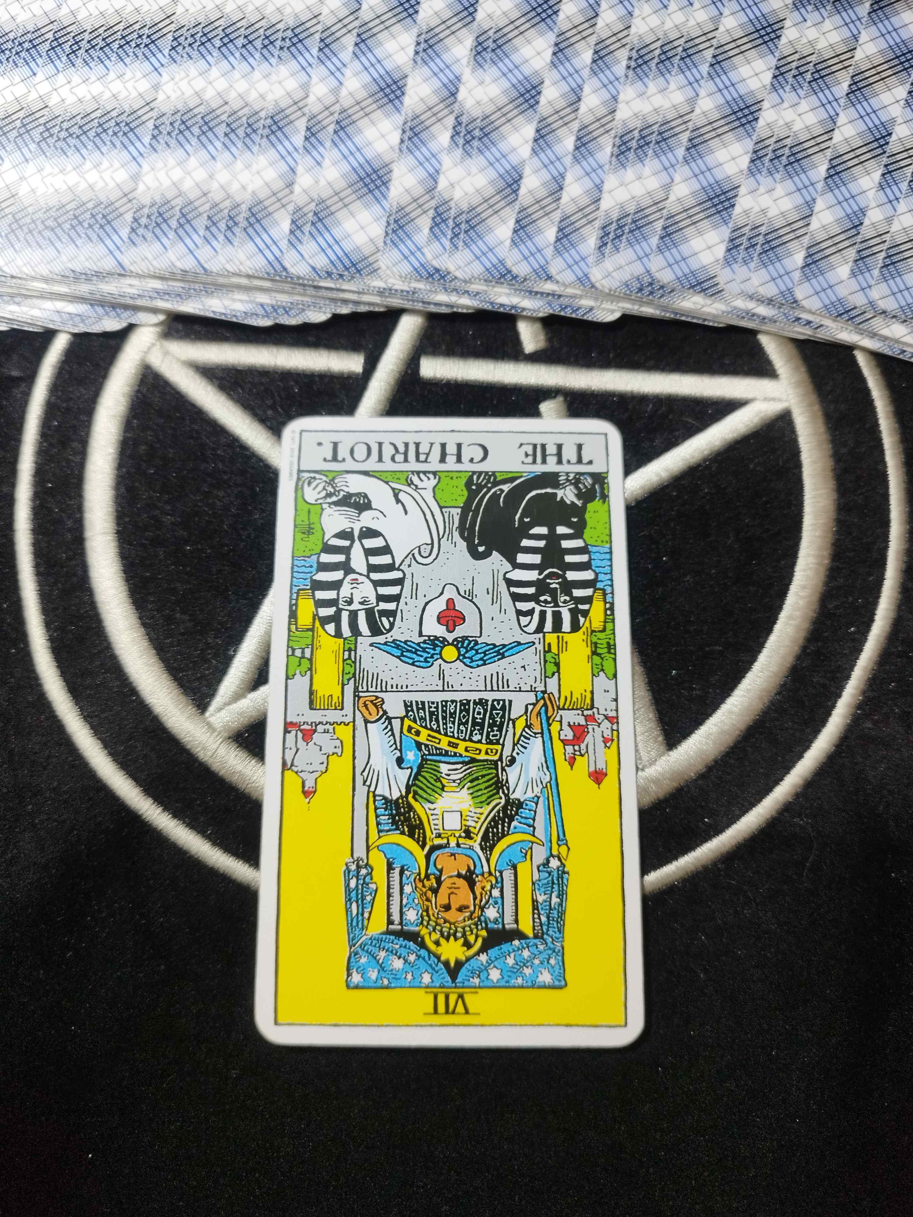 1000031036.jpg
