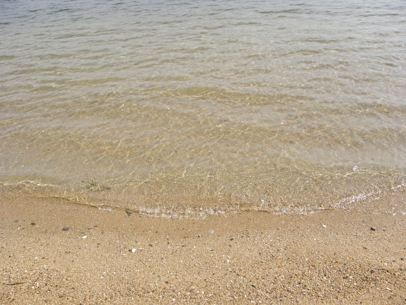 PA191296.JPG