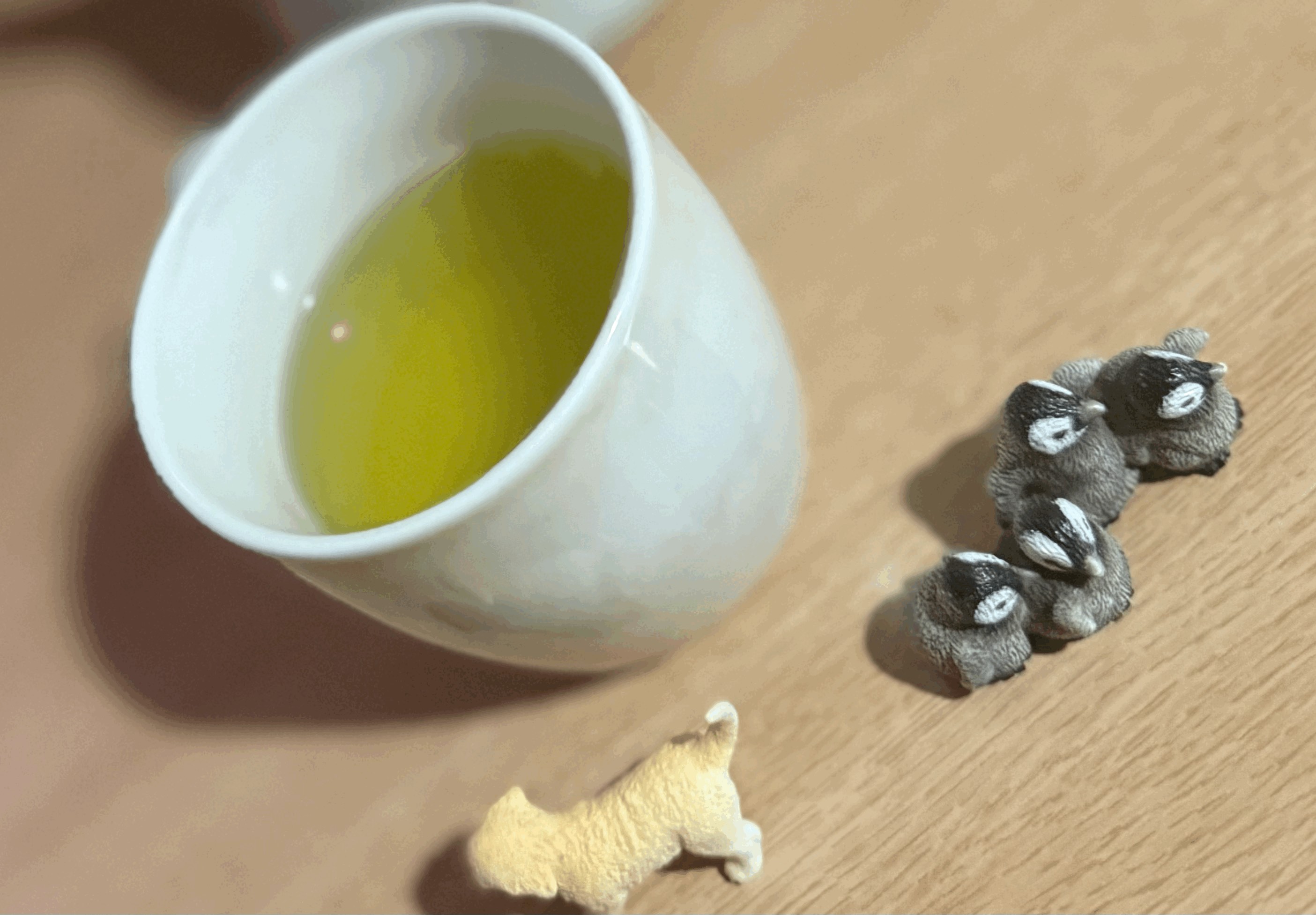 tempImageQ2HF0j.gif