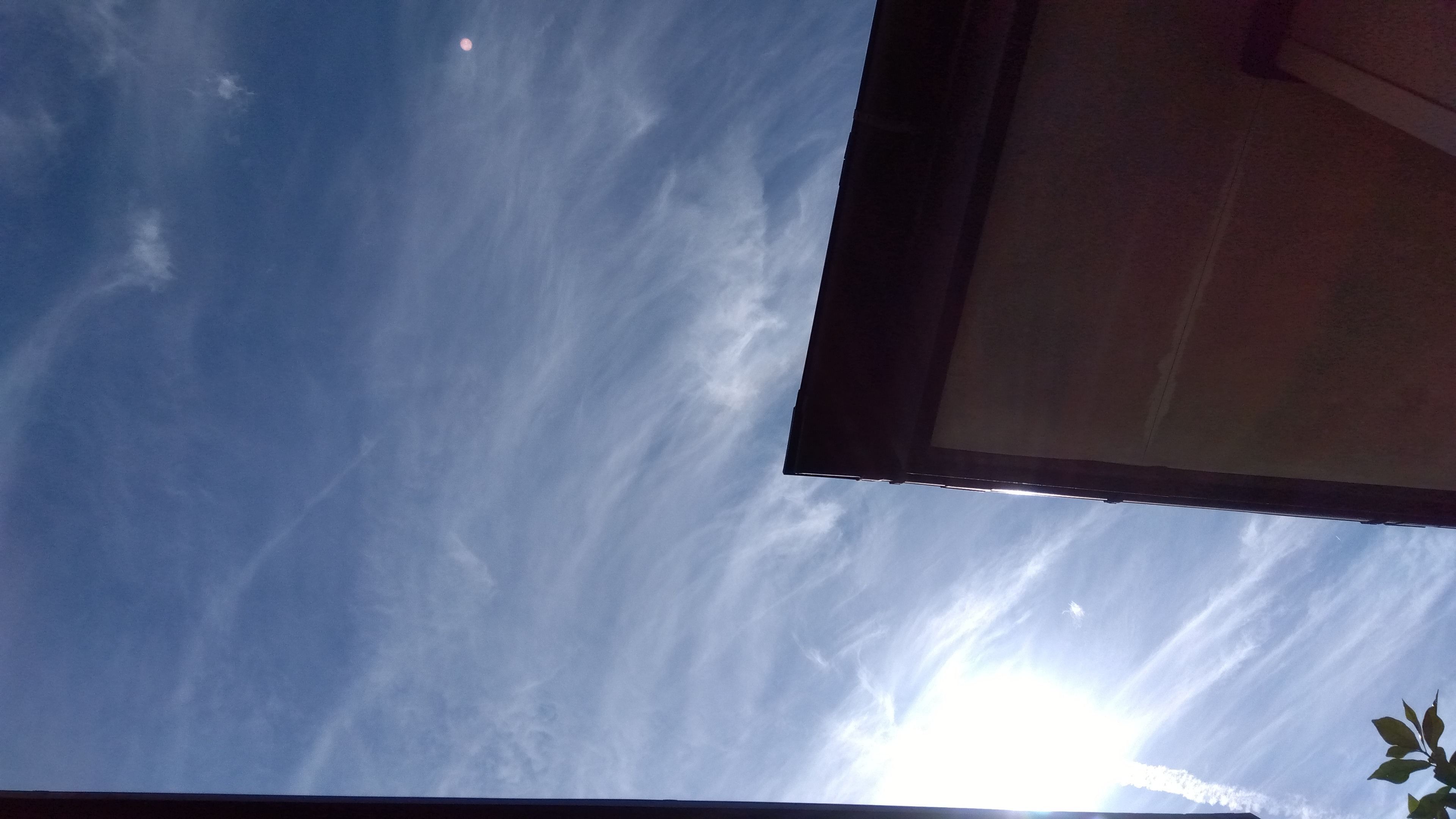 IMG_2024-10-11-13-25-48-646.jpg