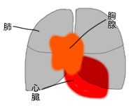 無題192_20251112212434.PNG