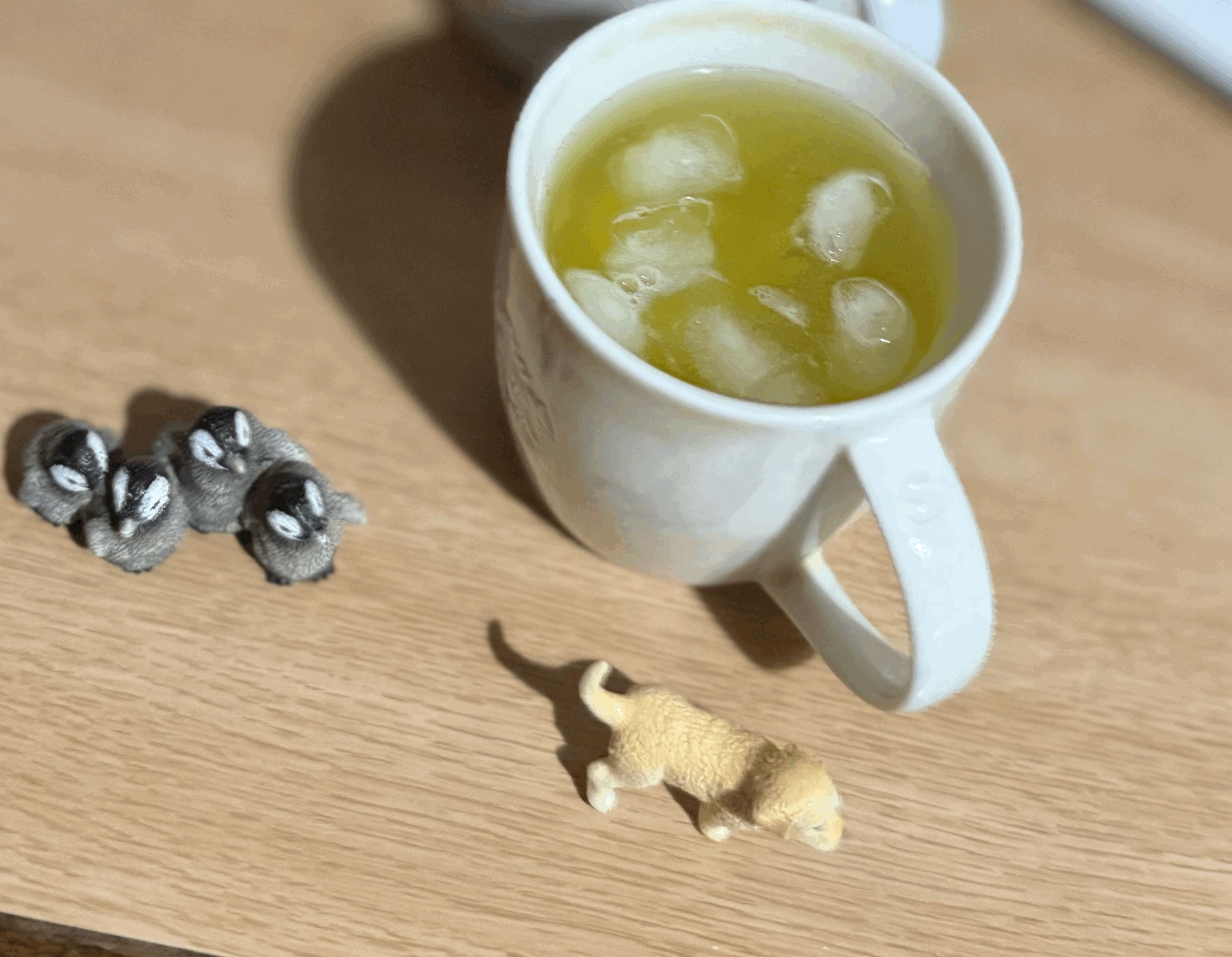 tempImageGpTe6c.gif