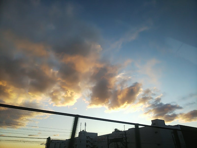 冬の写真9.jpg