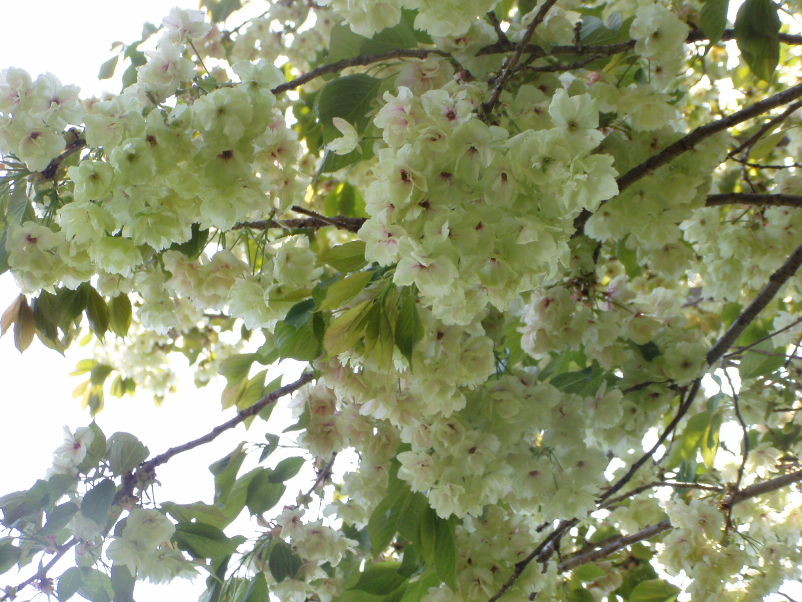 P1010021.JPG