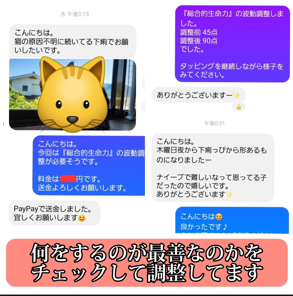 Screenshot_20230526_124405_CapCut.jpg