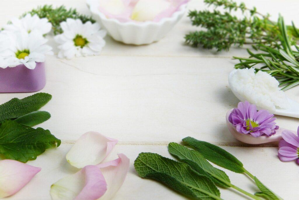 herbs-3141838_1920-1024x684.jpg