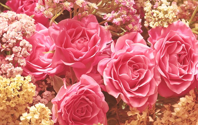 roses-3699963_640.jpg