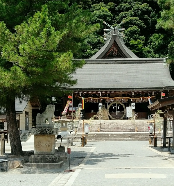 IMG_20250705_130325R(2) - コピー.jpg