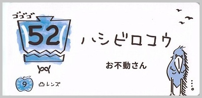 52_ハシビロコウ_S_border.jpg