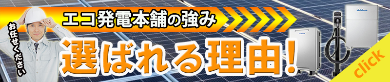 五つ星様.jpg