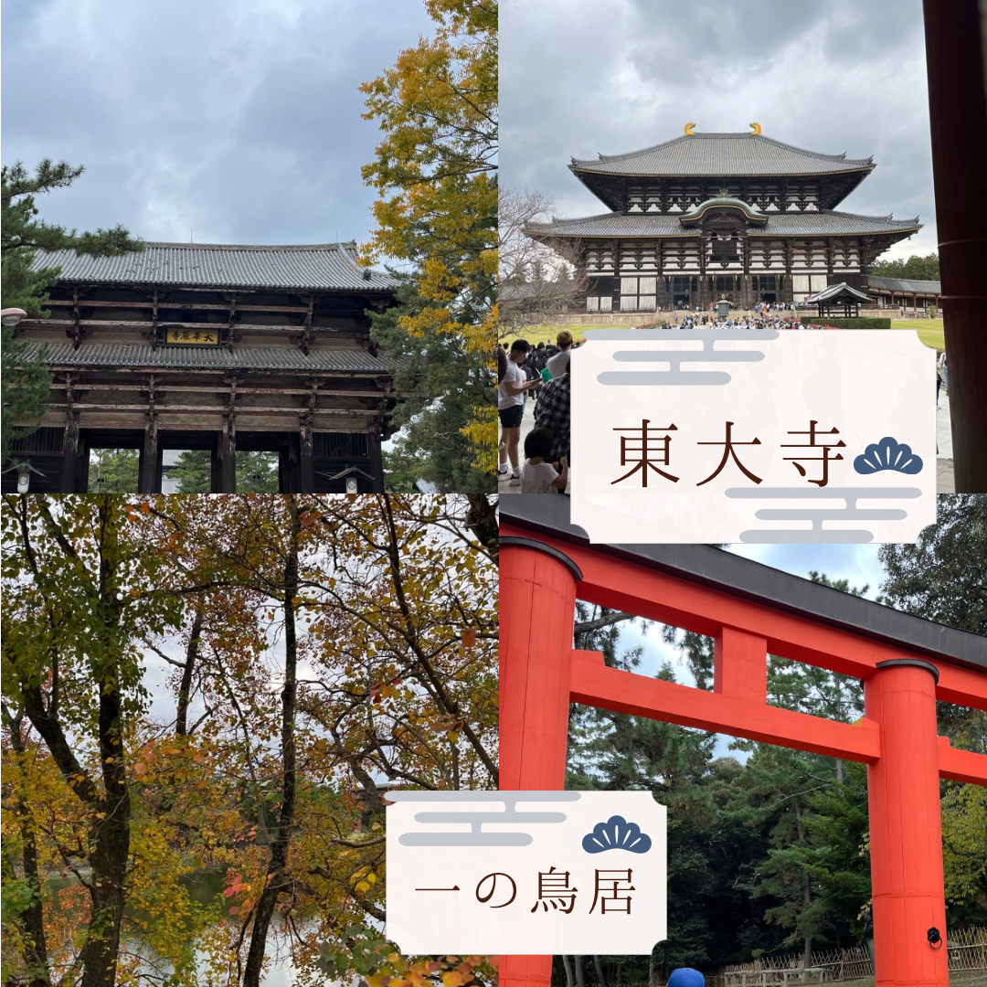 青　シンプル　京都　旅行　プラン　Instagramの投稿.PNG