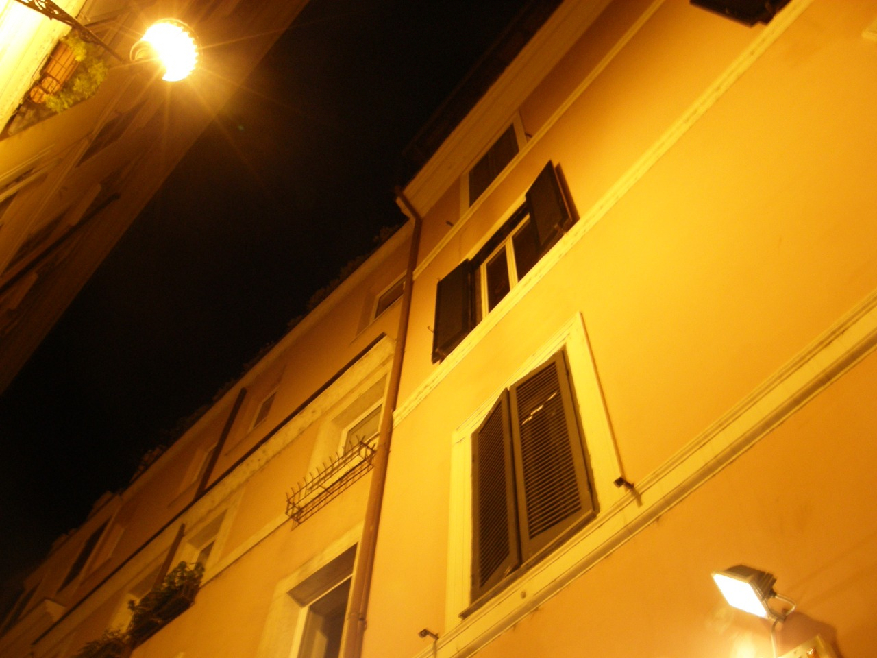 P2150188.JPG