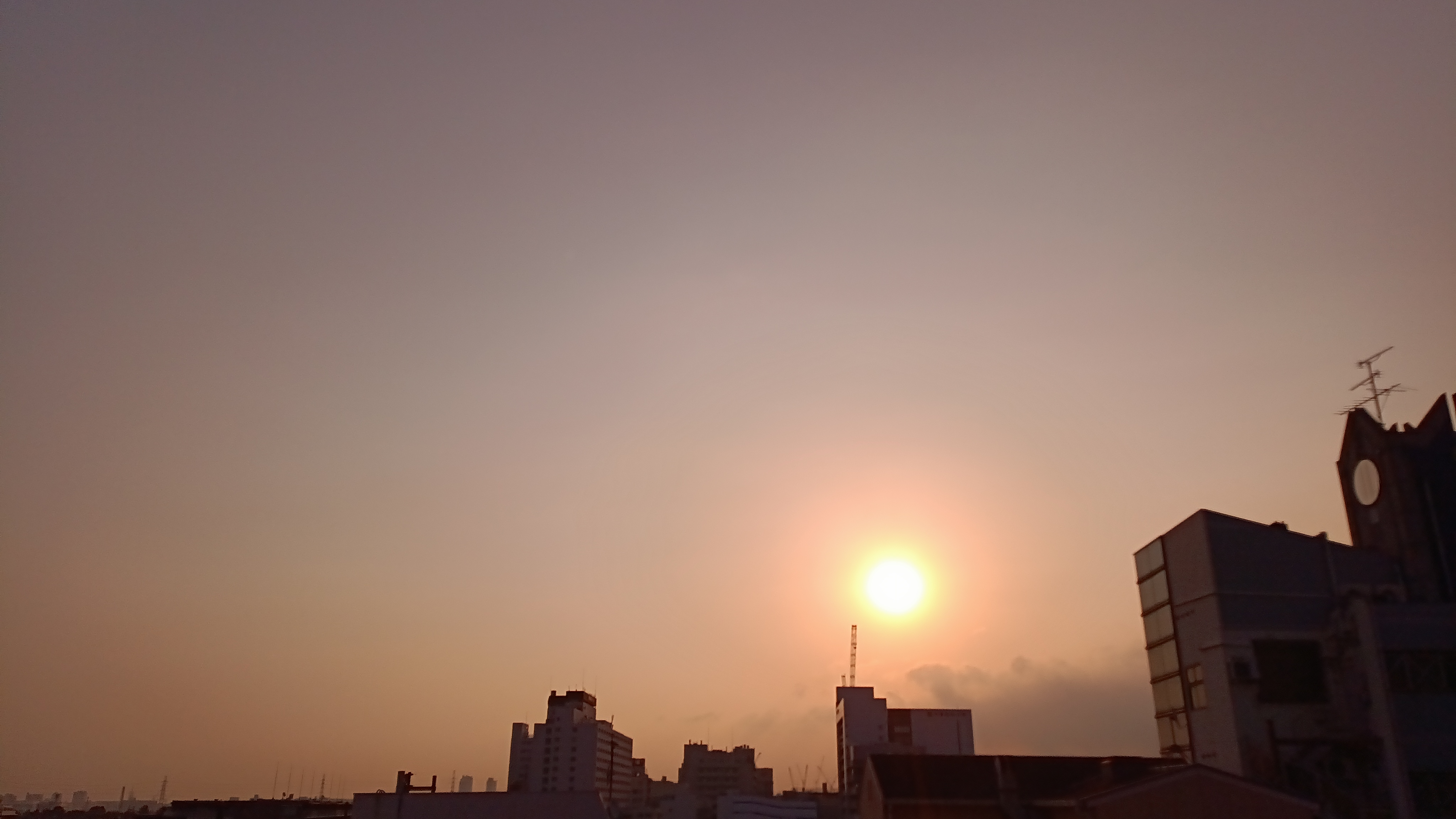 IMG_20250217_074008_299.jpg