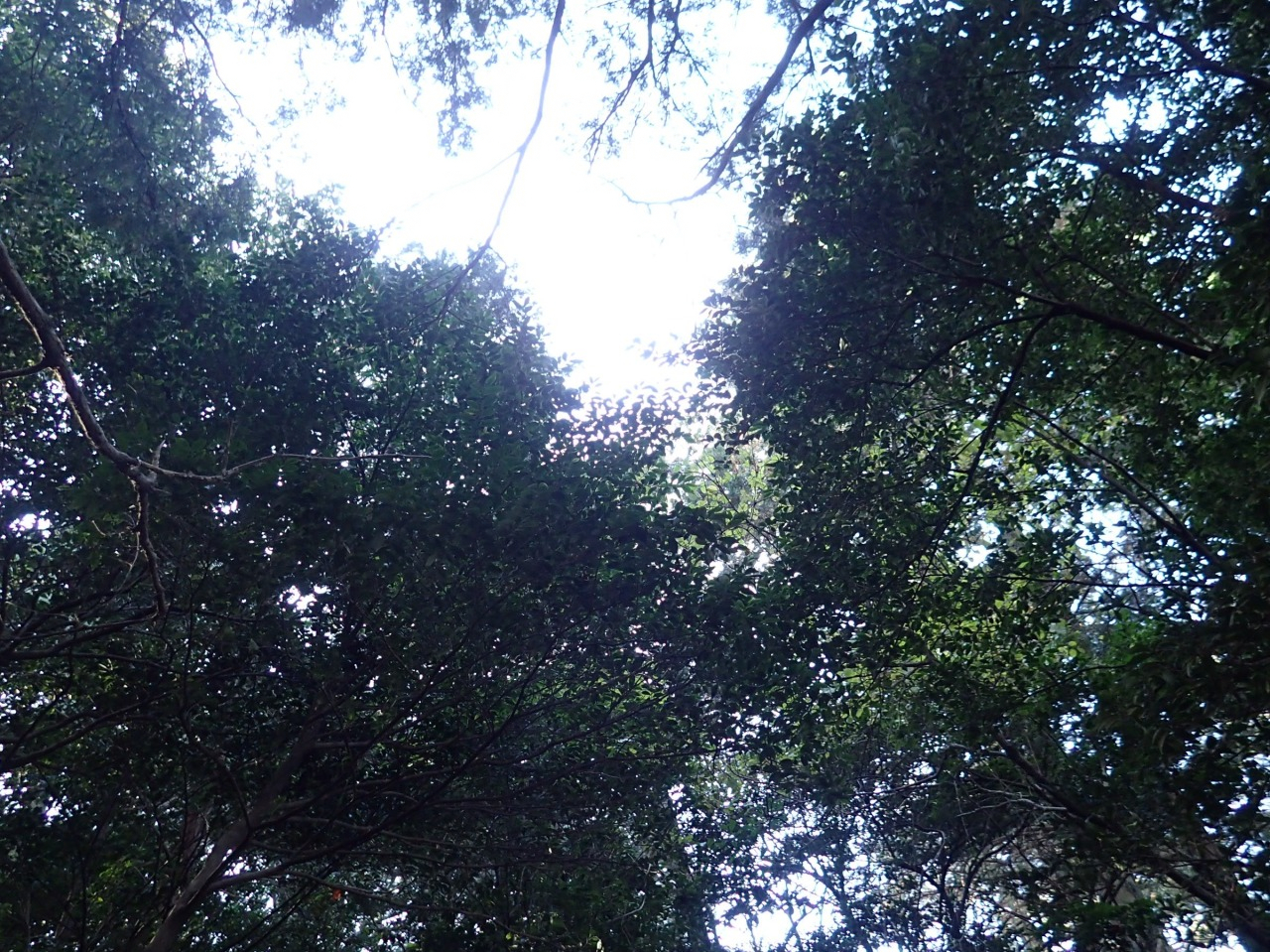 PC310023.JPG