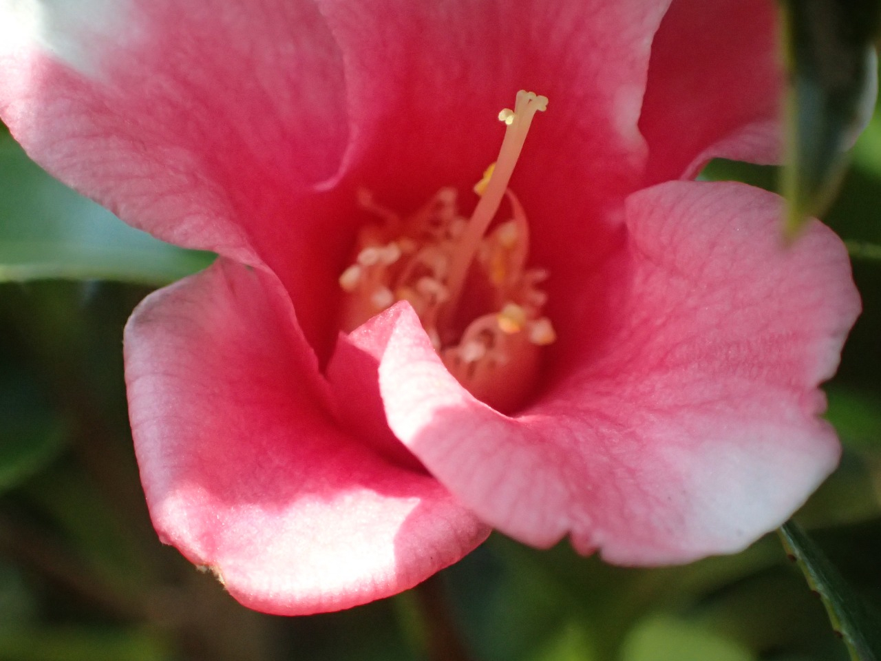 P3220139.JPG