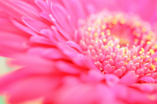 16B3C138-4938-419A-979C-C6F231D73983.jpeg