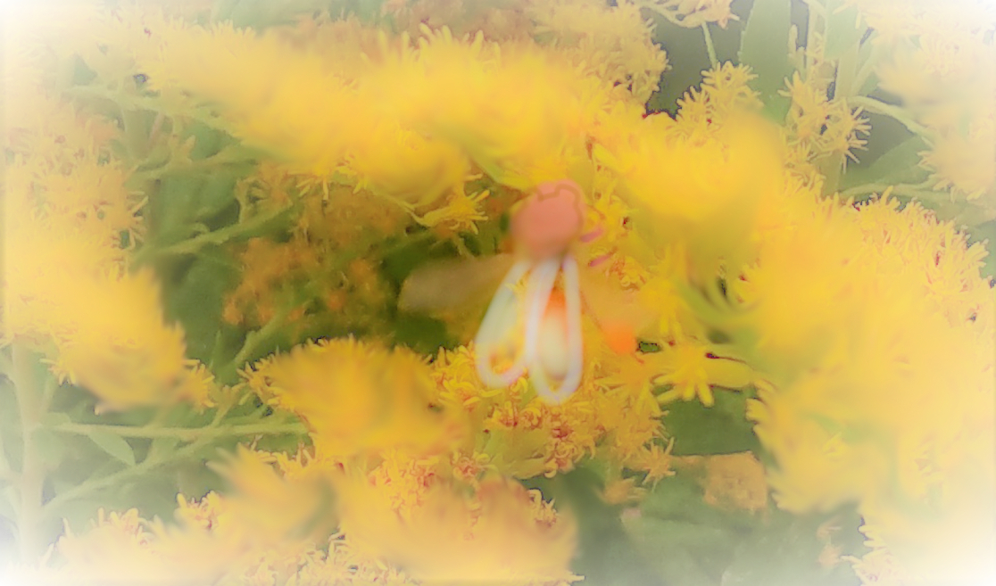 sketch-1666851516348 (2).png
