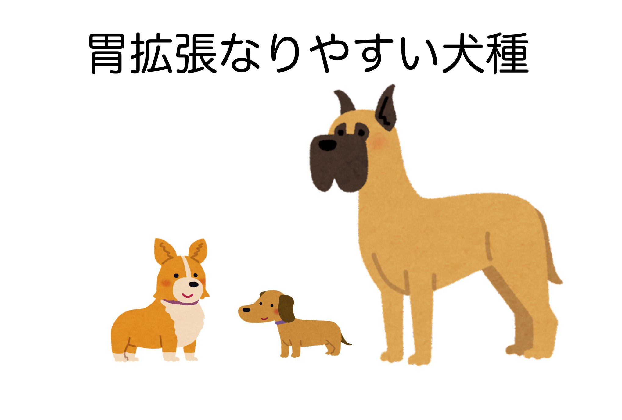 IMG_2106.png