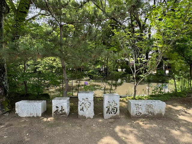 橘樹（石）.jpg