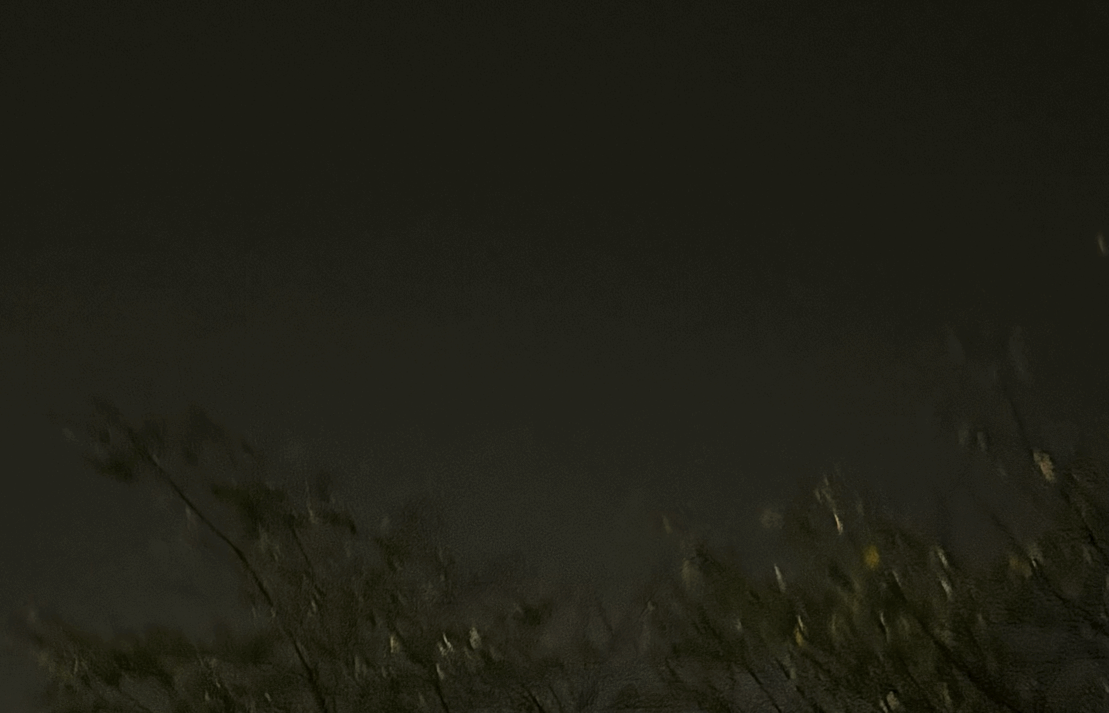 tempImageS20qfl.gif