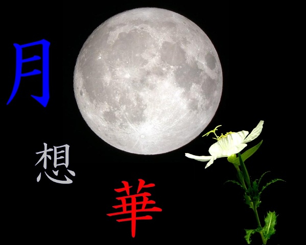月想華・ジャケット.jpg