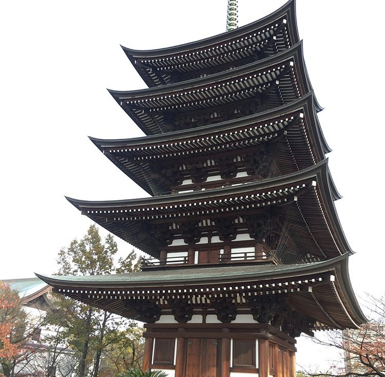 S__245407750.jpg