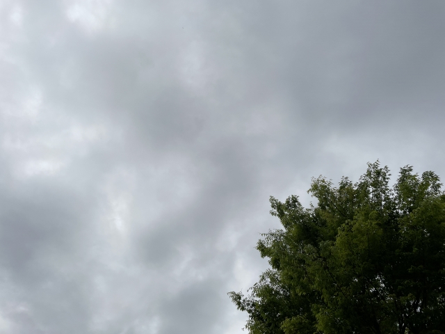 26494193_s.jpg