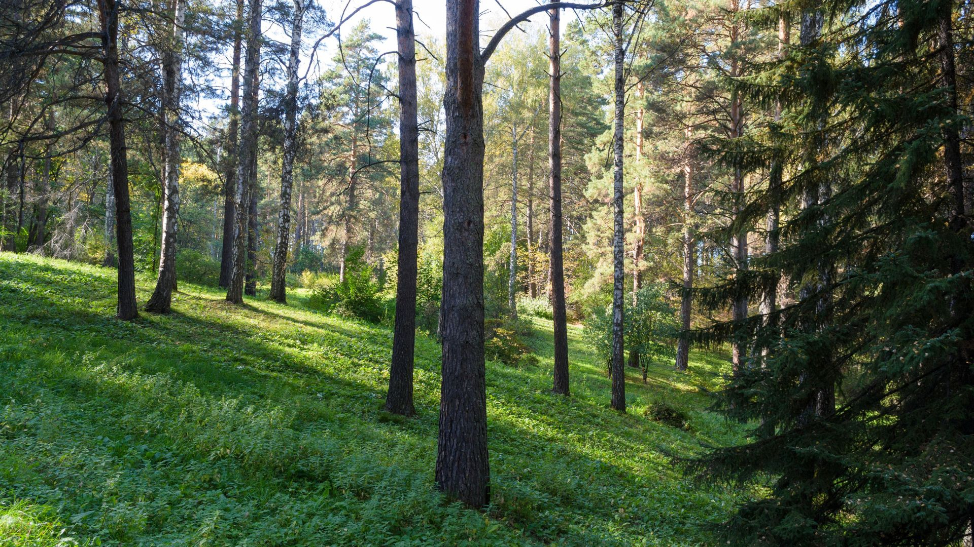 153.jpg