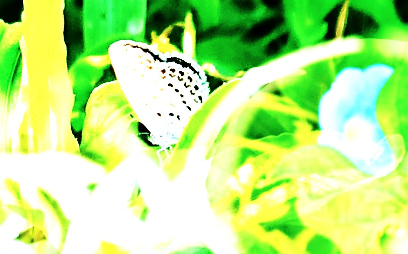 _20230817_074230.JPG