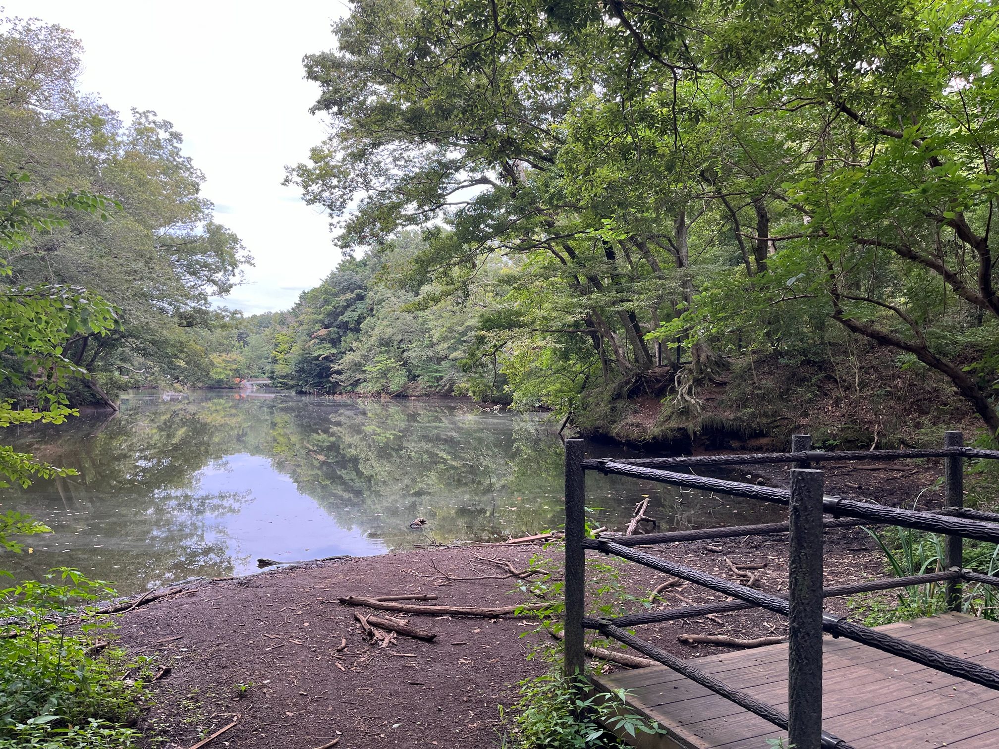 震生湖.jpeg