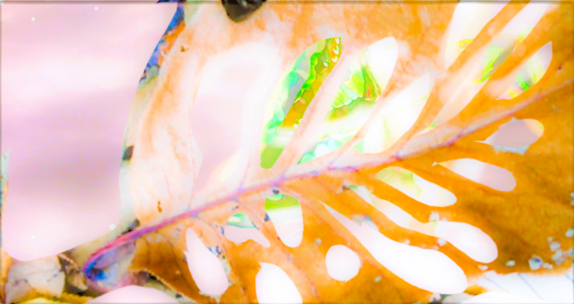 sketch-1669870641262 (2)0123.png